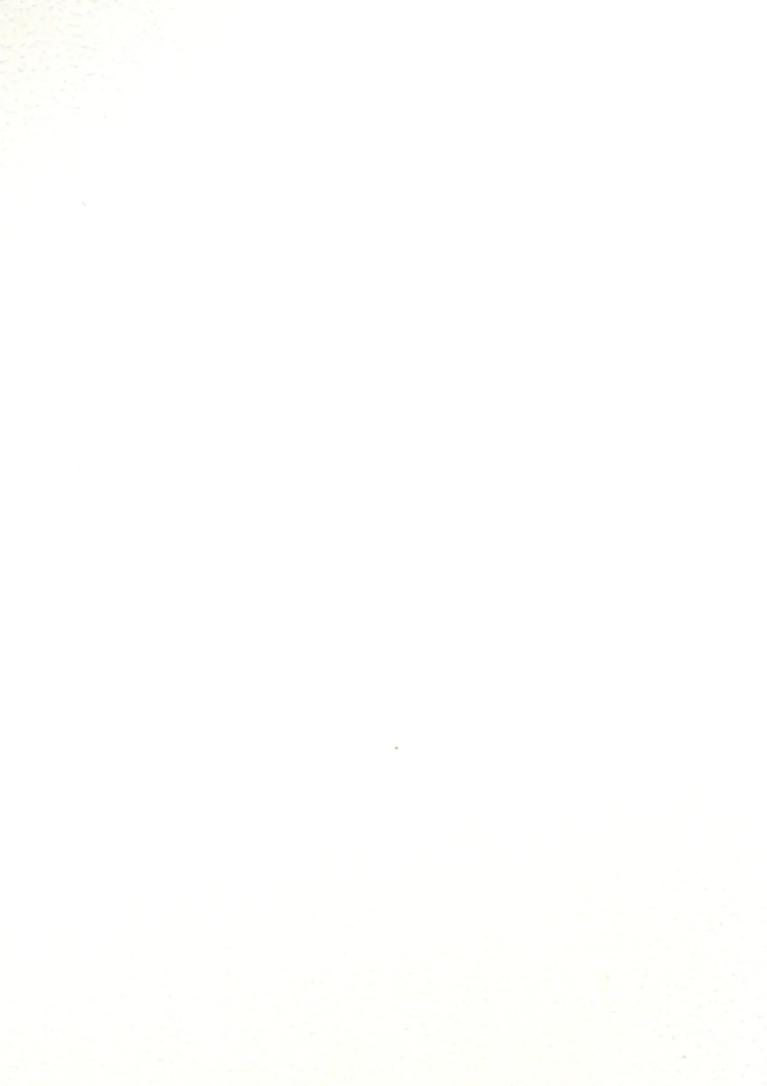 (C100) [COUNTER-CENSORSHIP (Ookami Uo)] 这已经和巫女无关了吧！？[个人汉化] [Chinese]