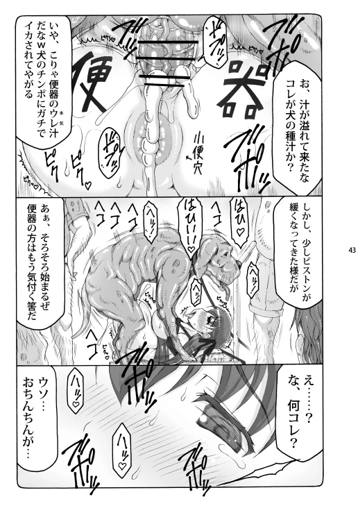 หน้า 42