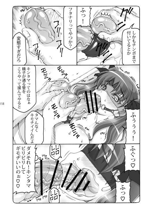 หน้า 117