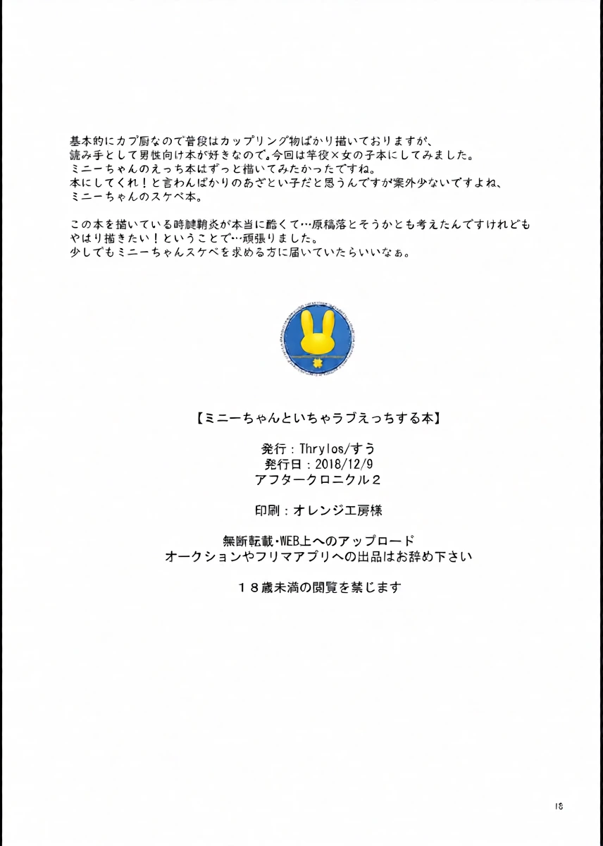 หน้า 17