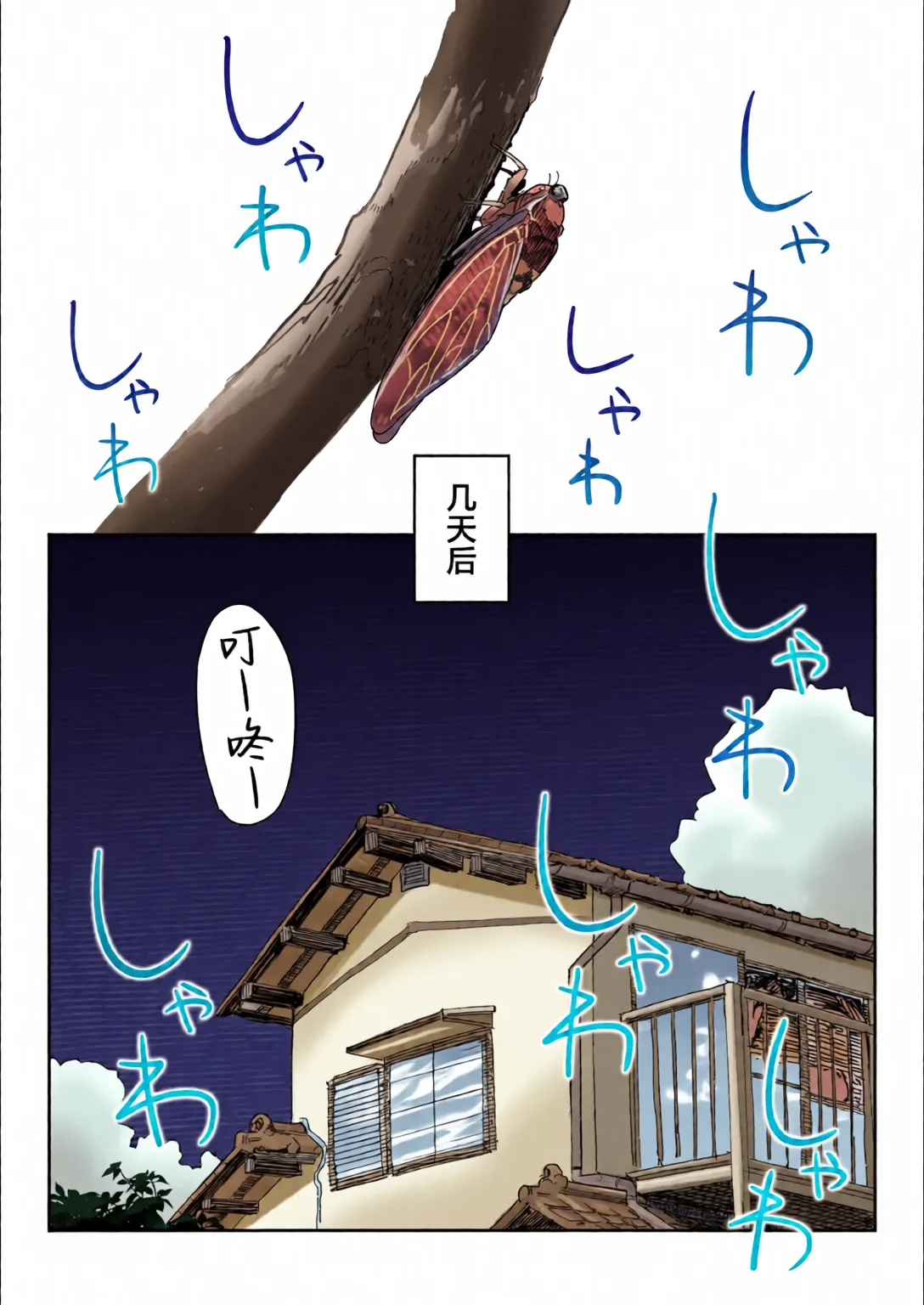 หน้า 13