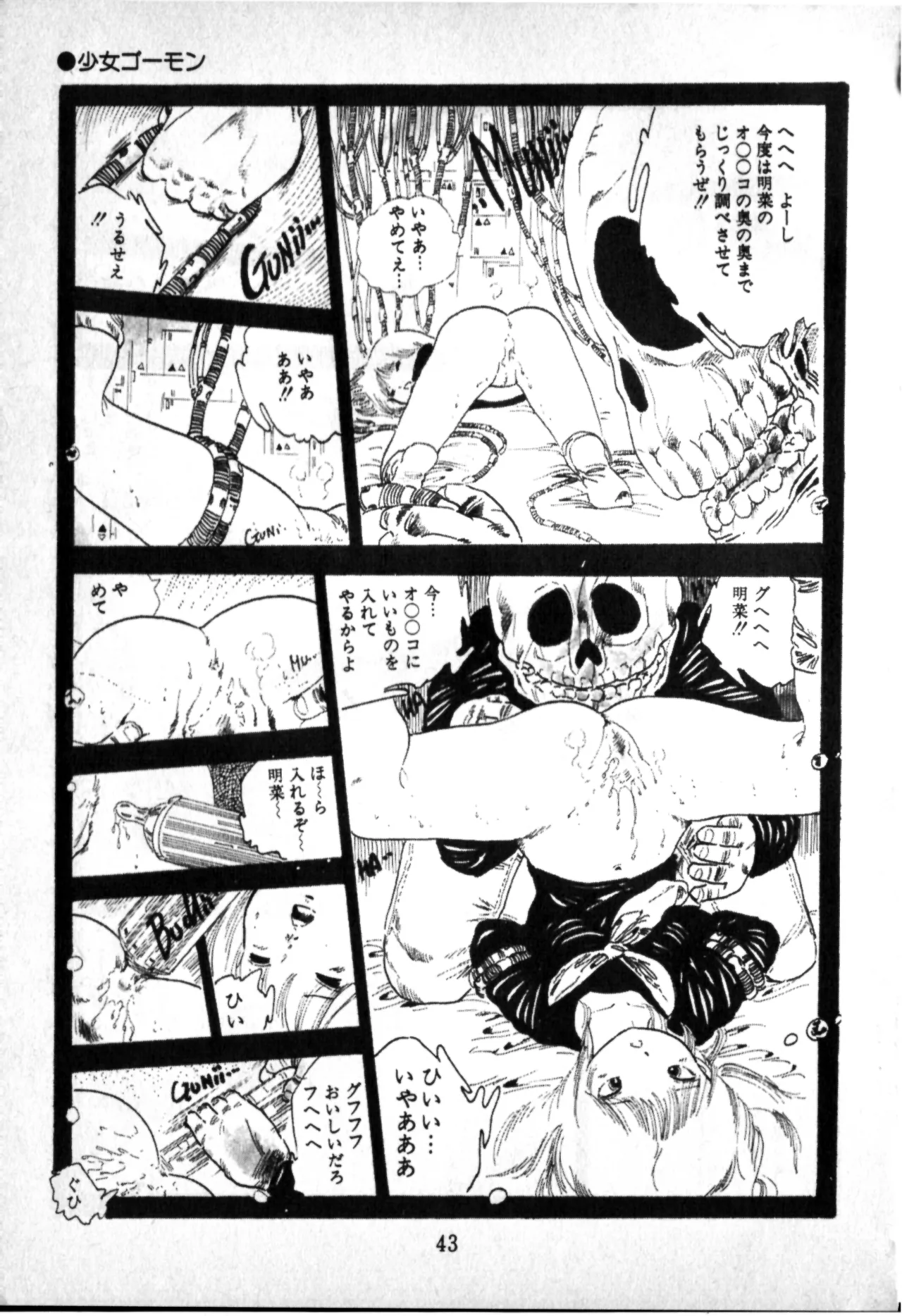 หน้า 43
