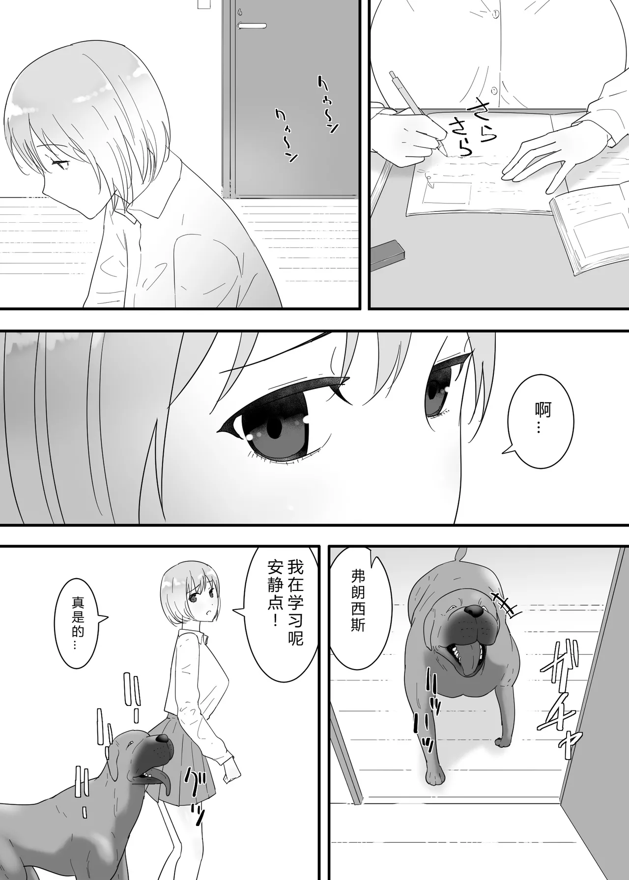 หน้า 13