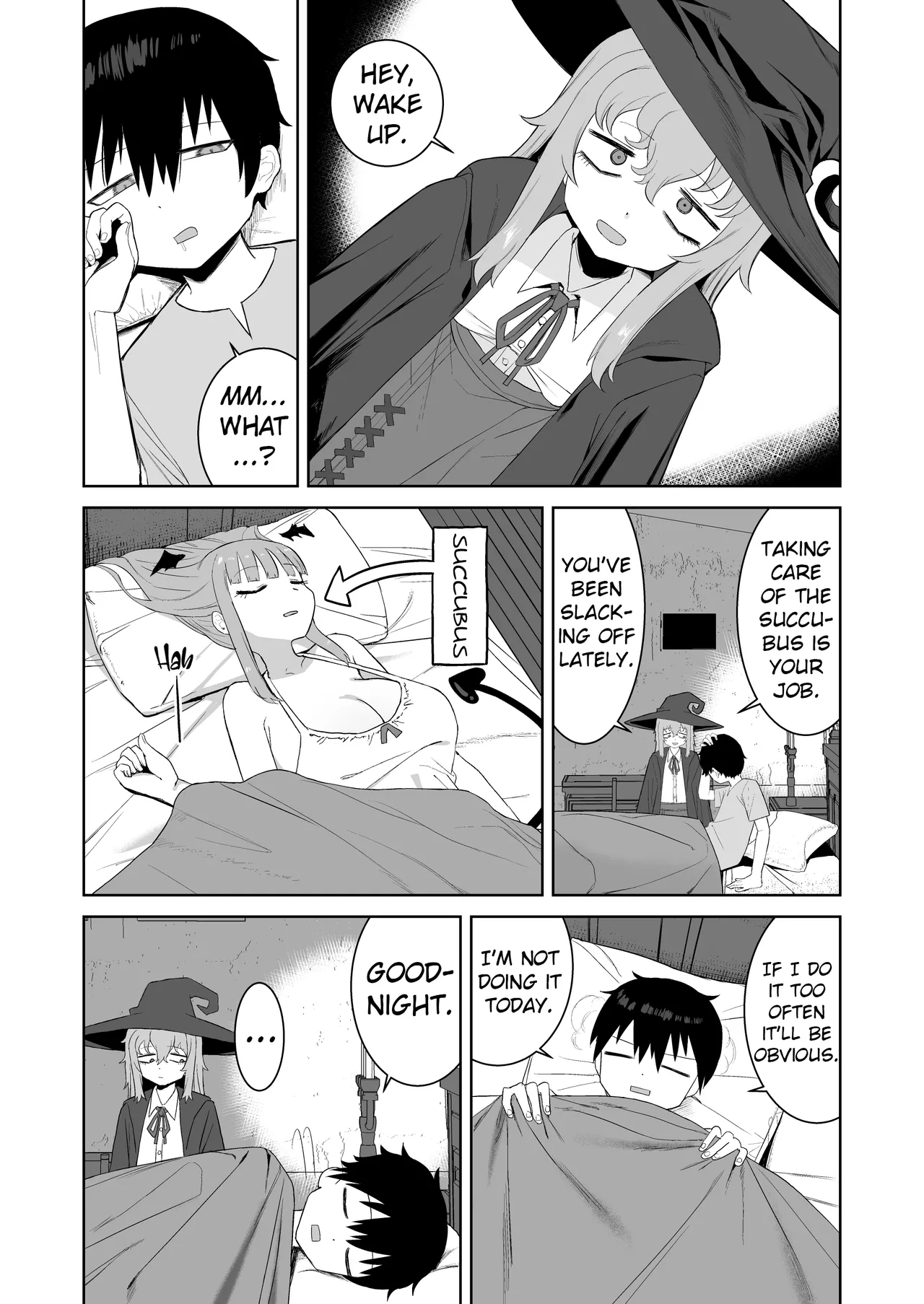 [Darezuka] Succubus ga Konran Shiteiru Ma ni | While the Succubus is Confused [English] [NTerm] [Digital]