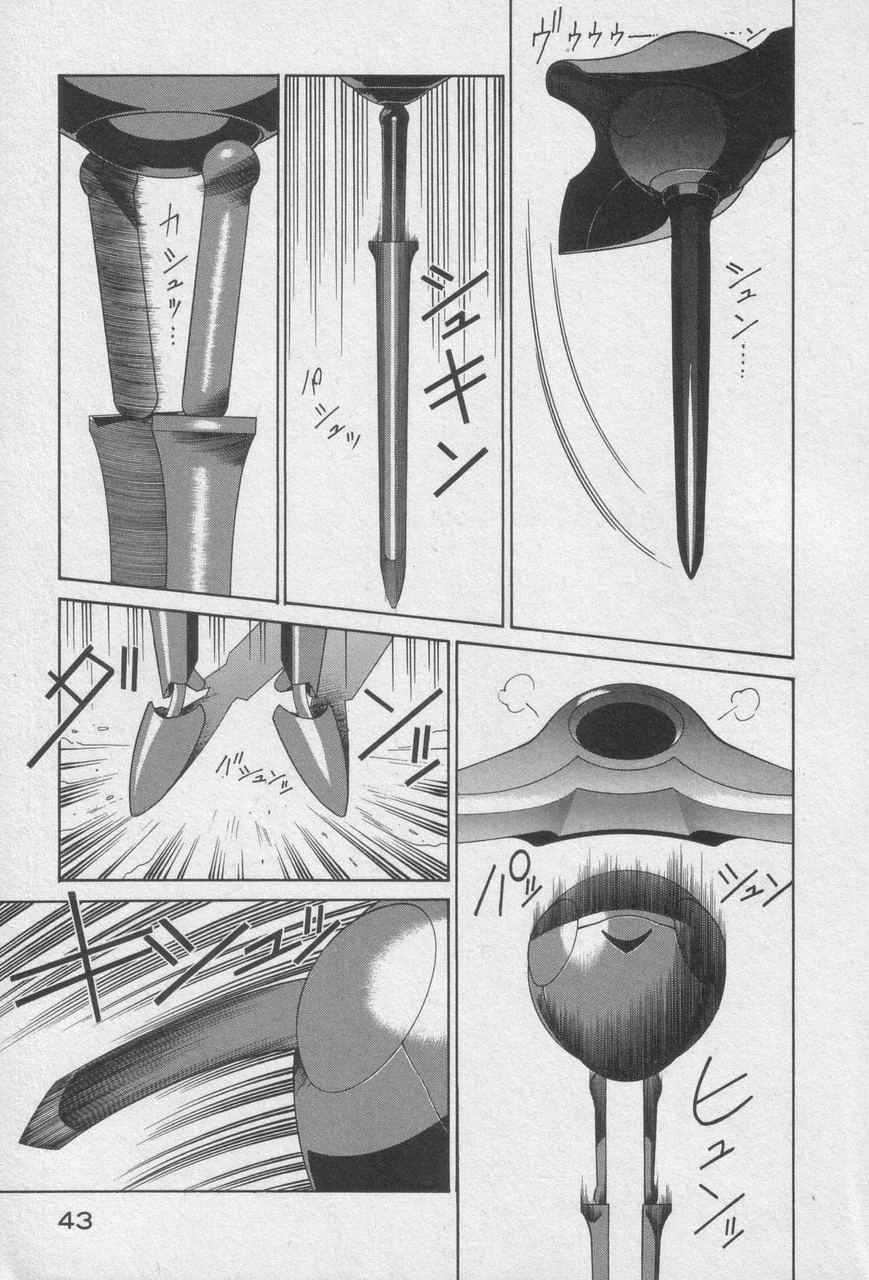 หน้า 41