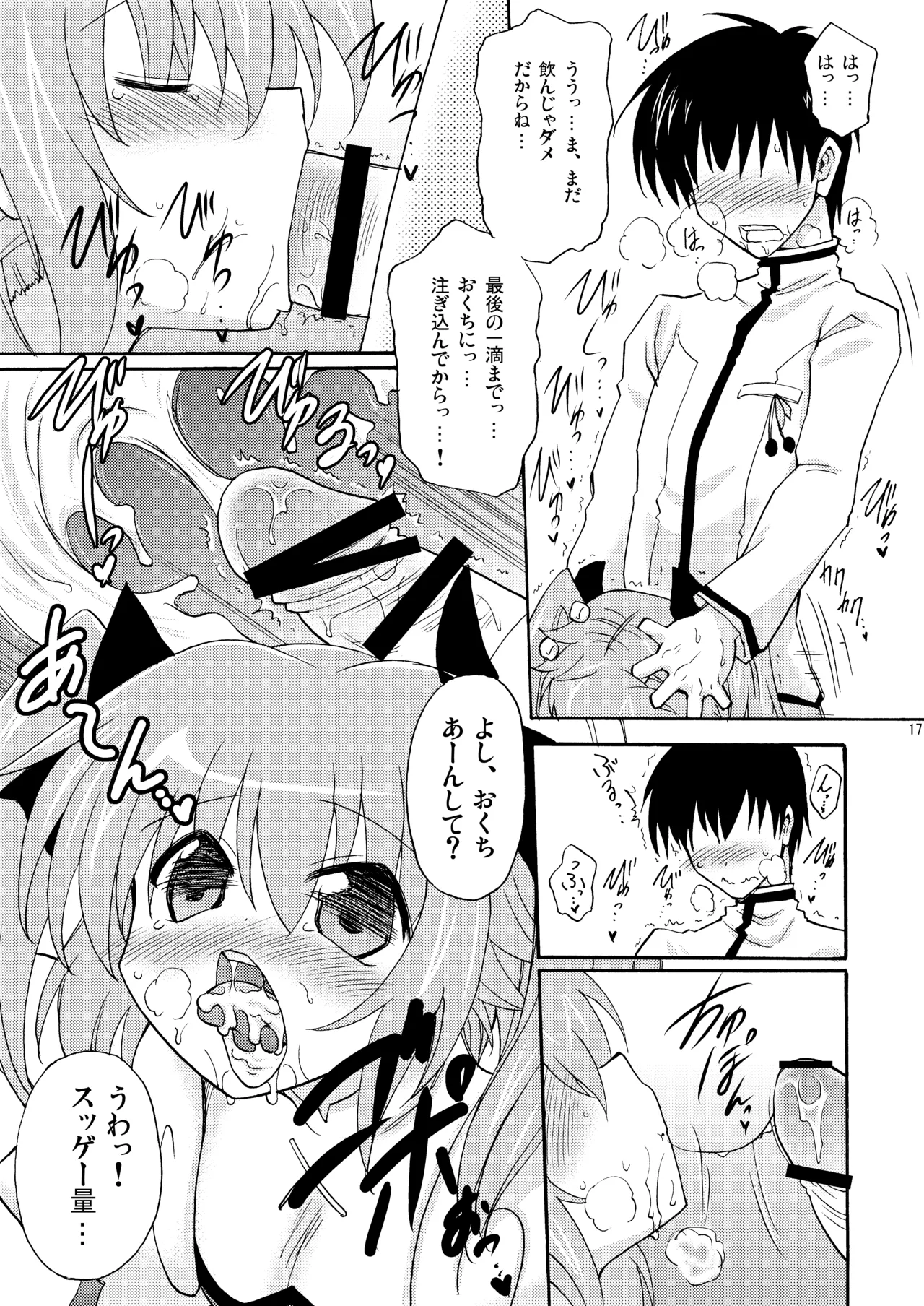 หน้า 17