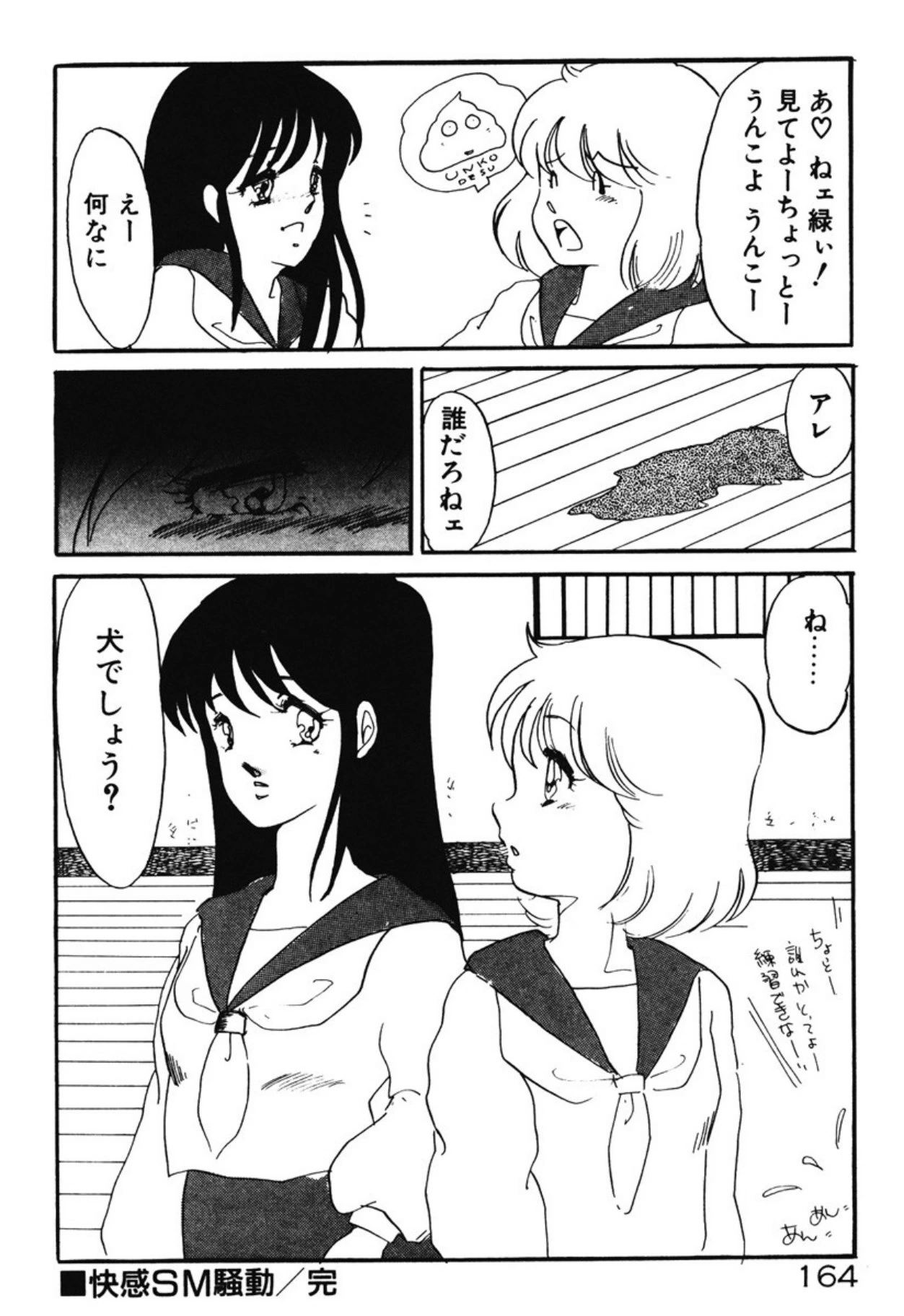 หน้า 161