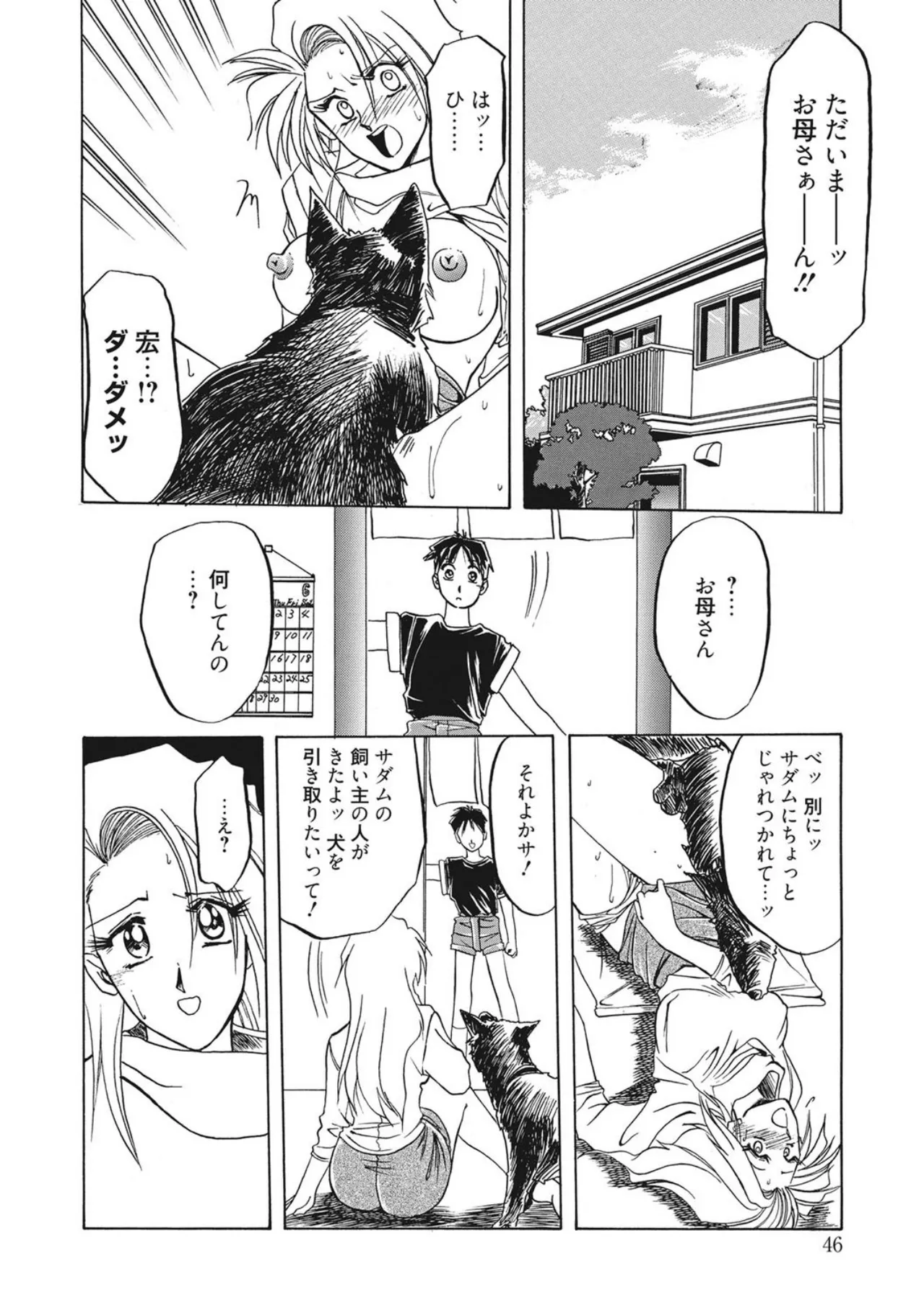 หน้า 46