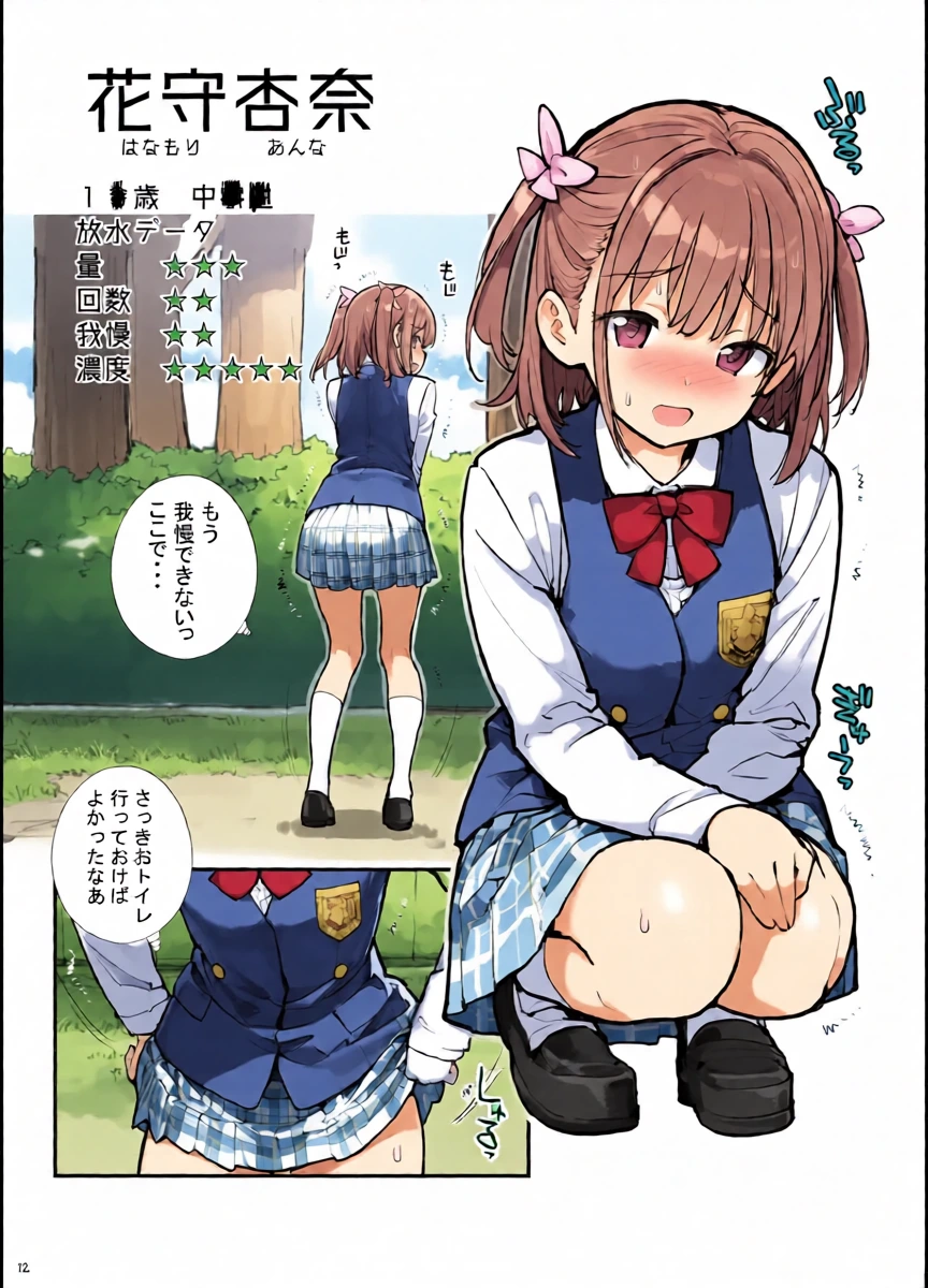 หน้า 12