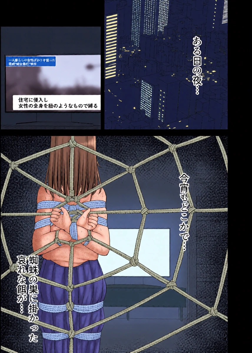 [Osakana Koujou(Filet-O-Fish)]nawa-gumo no esa | kumo no su no wana