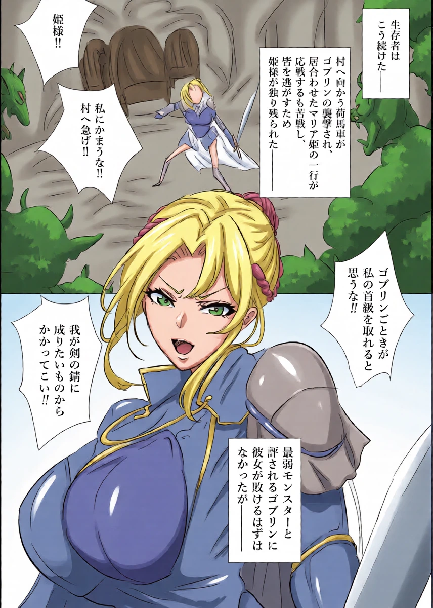 [Tomii Roba] Hime Kishi vs Goblin