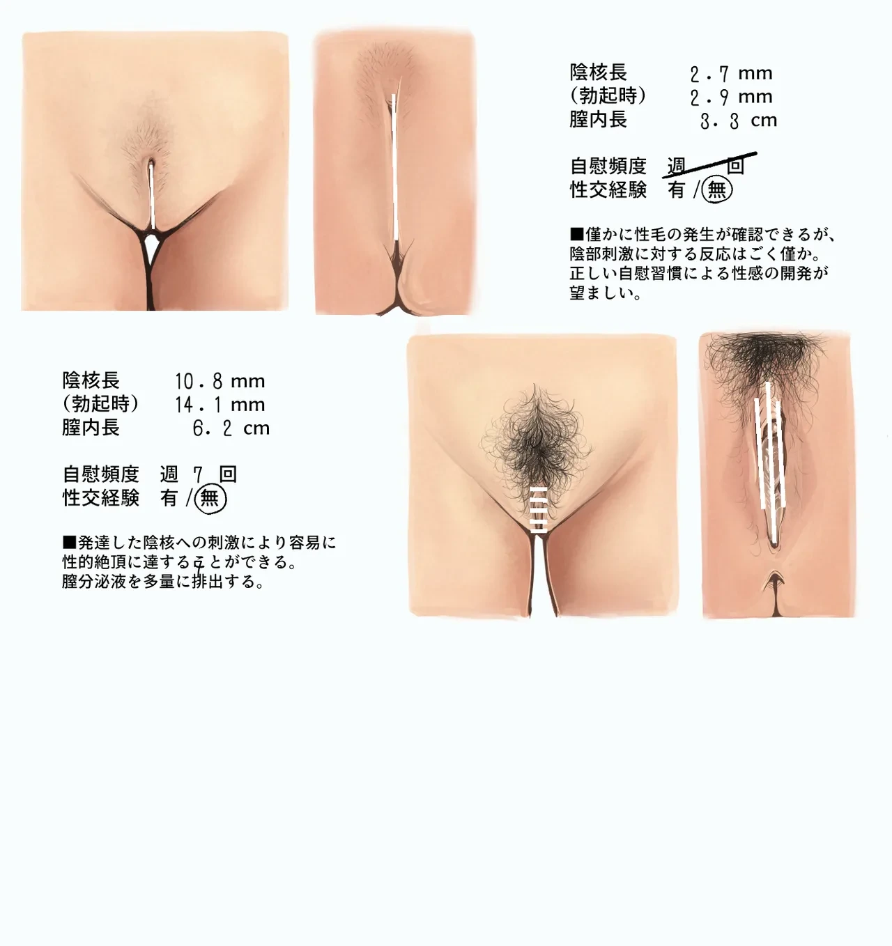 หน้า 244