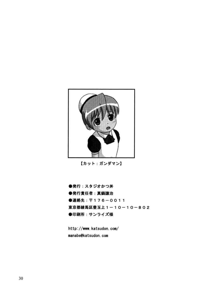 หน้า 29