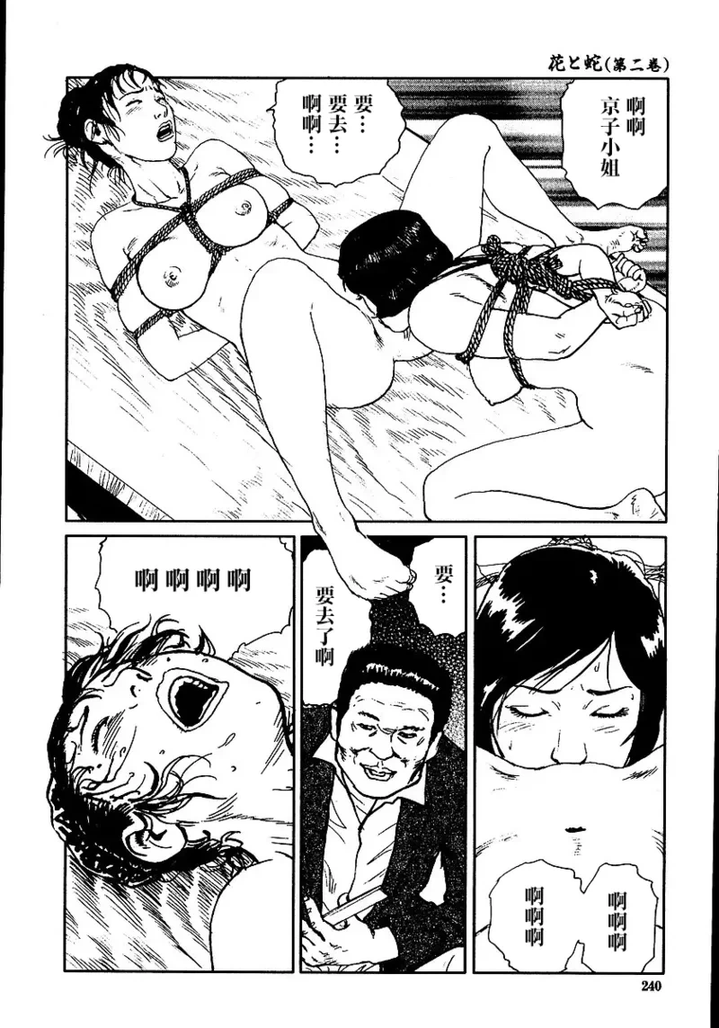 หน้า 246