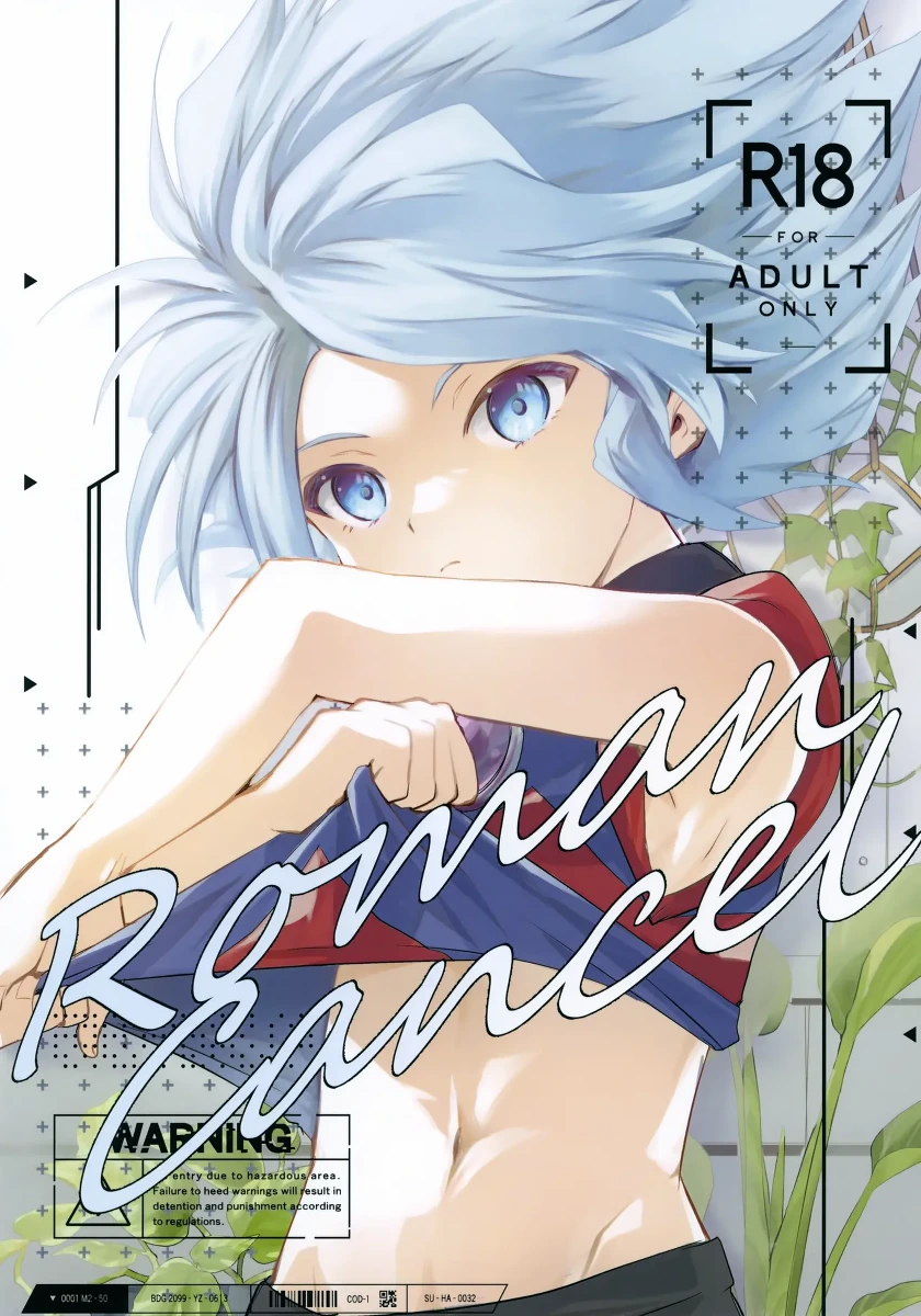 [BOM (Bon)] RomanCancel (Inazuma Eleven)