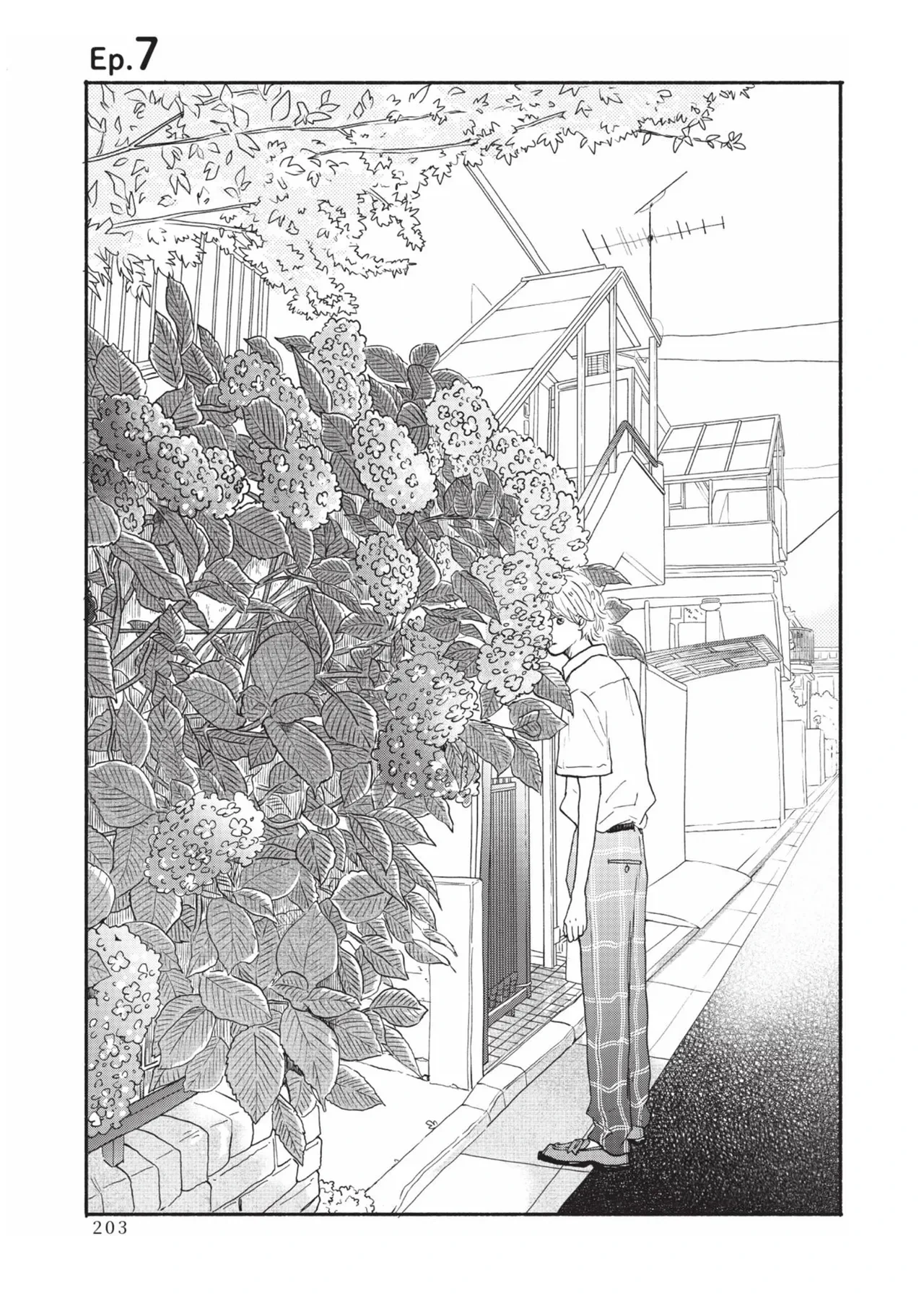 หน้า 203