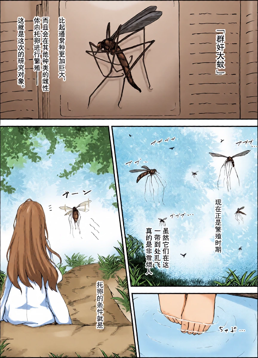 [gura] Shunin×Crane fly [chinese]