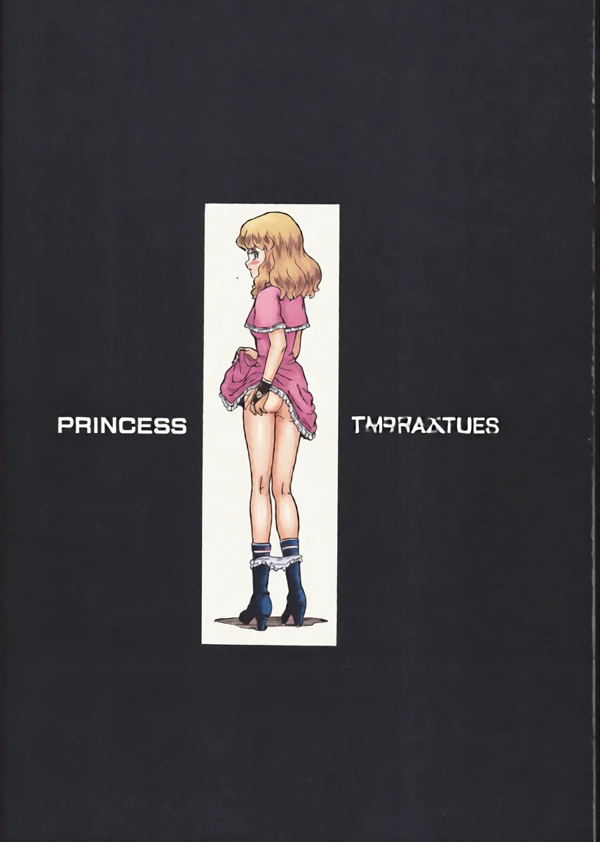 [Rat Tail（Irie Yamazaki）]PRINCESS MAGAZINE NO.2 [个人翻译]
