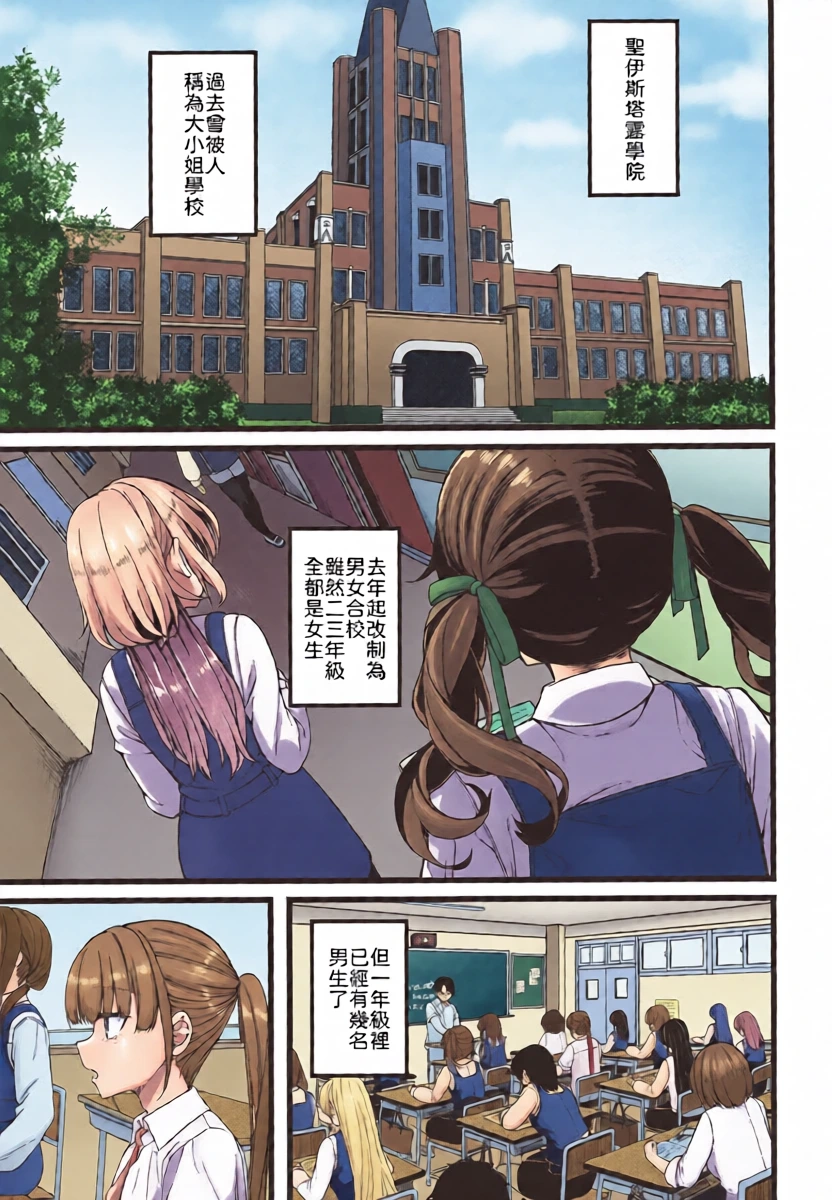 (COMITIA156) [trick&treat (tries)] Hakanaki Hitomi no Ojou-sama wa [Chinese] [山嵐个人汉化]