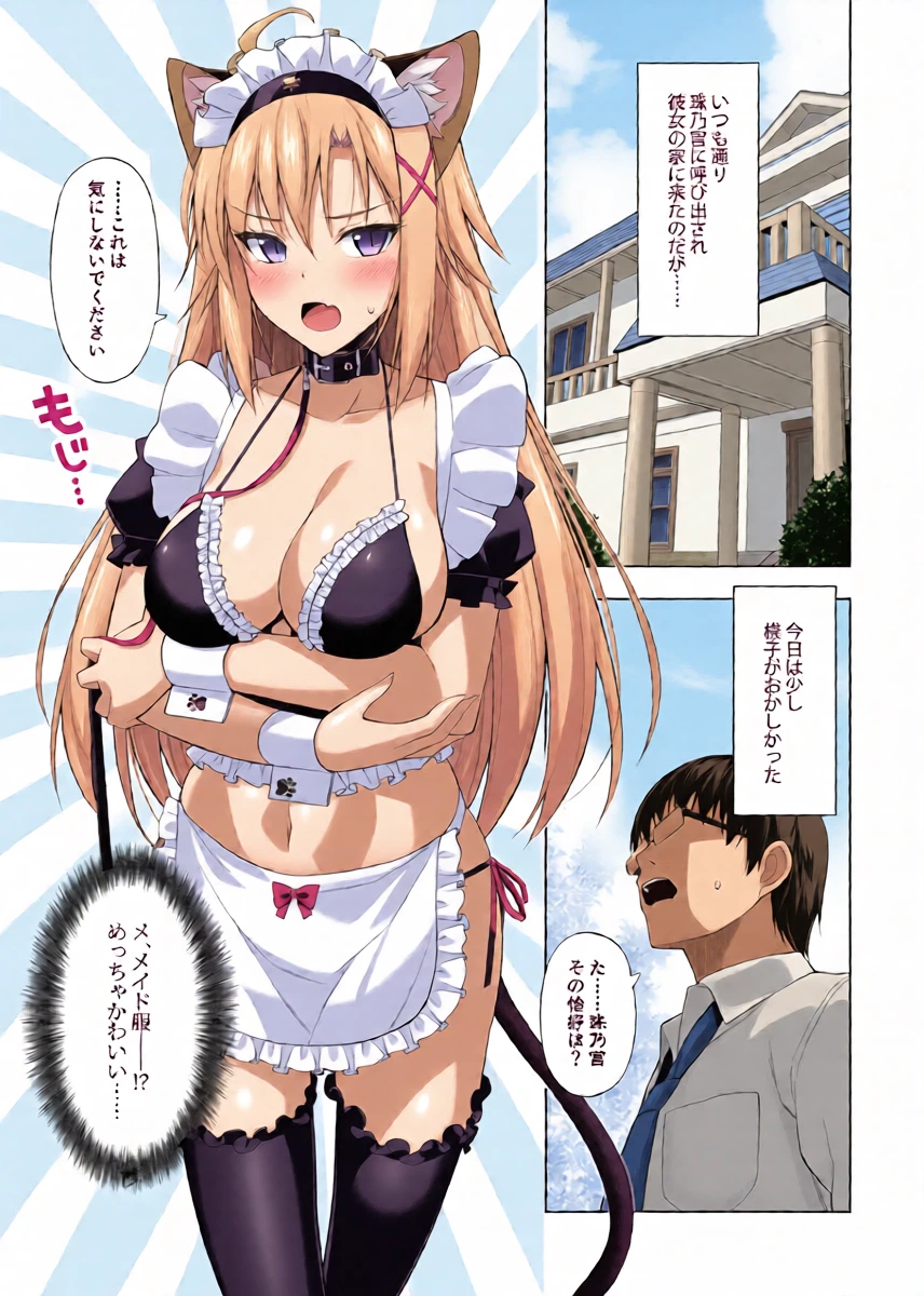 [Digital Flyer (Oota Yuuichi)] Neko to Geboku VI [Digital]