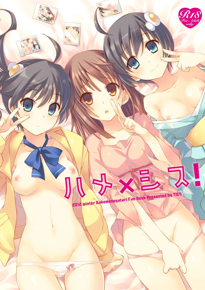 [TIES (Takei Ooki)] Hame×Sis (Bakemonogatari) [Digital]
