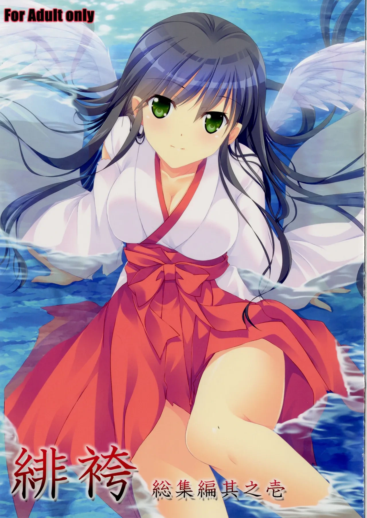(C90) [Akai Shougeki (Yamamoto Kazue)] Soushuuhen I [Digital]