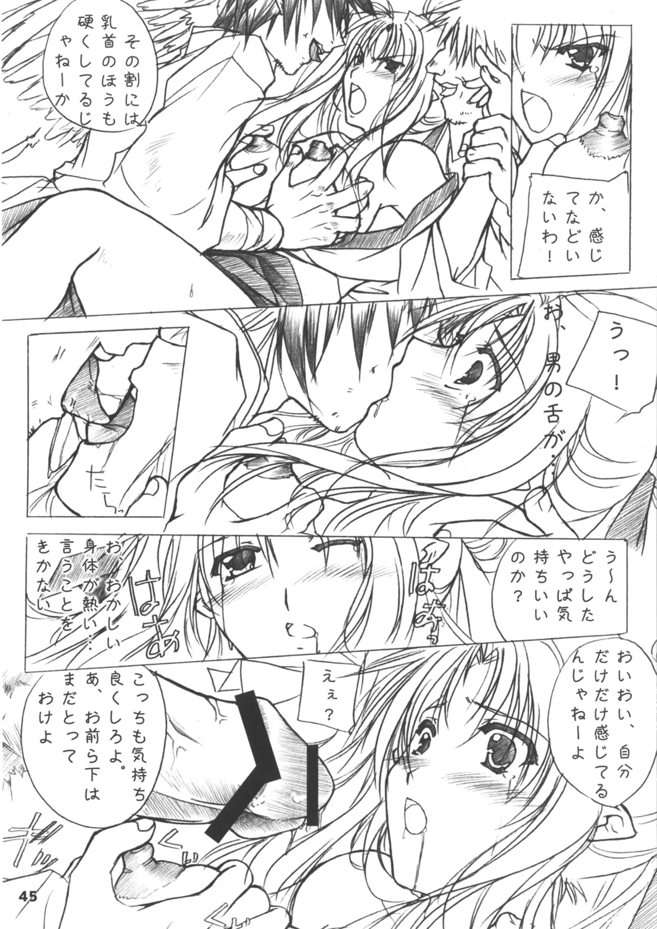 หน้า 45