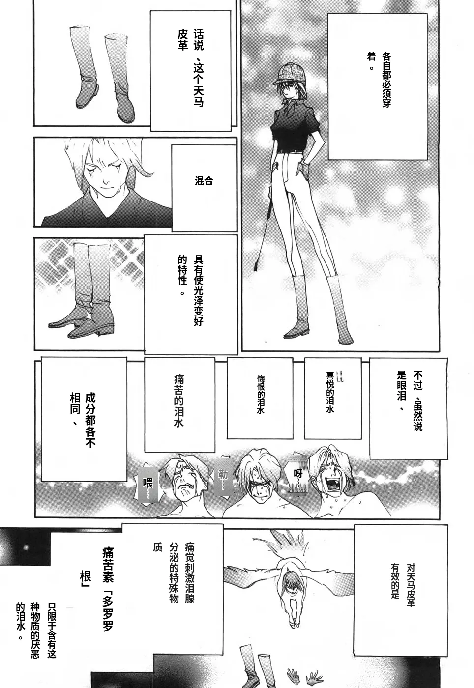 หน้า 13