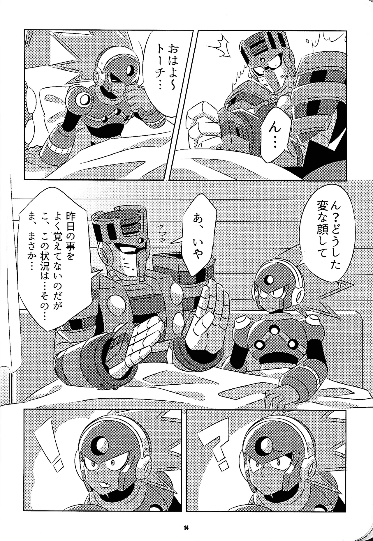 หน้า 13