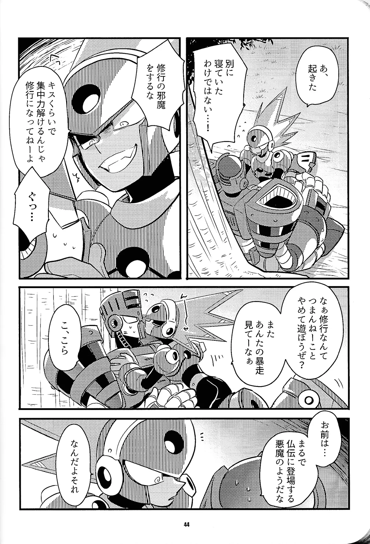 หน้า 43