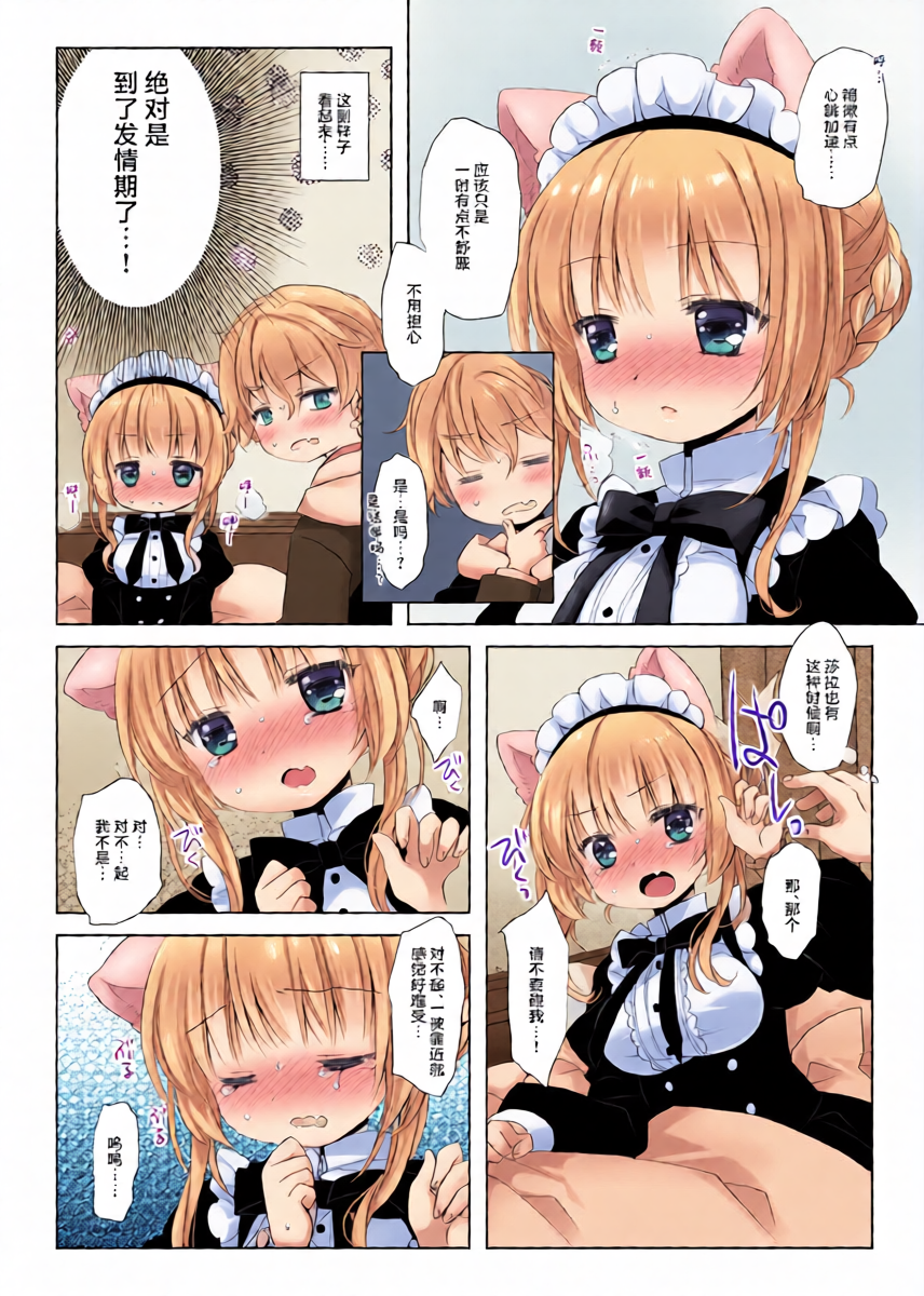 หน้า 11