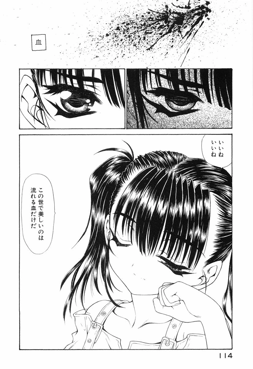 หน้า 117
