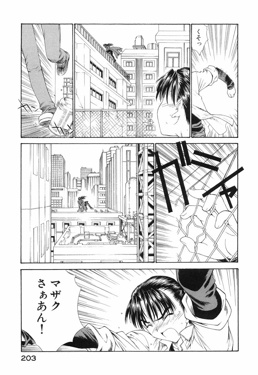 หน้า 206