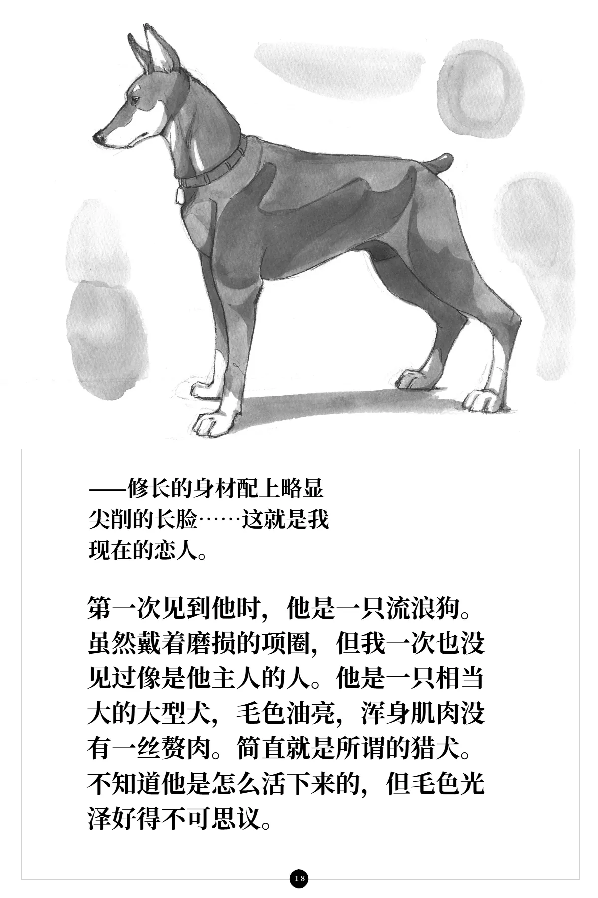 หน้า 19