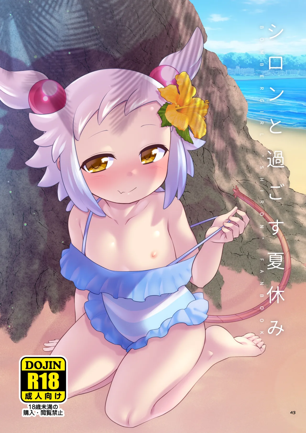 หน้า 43