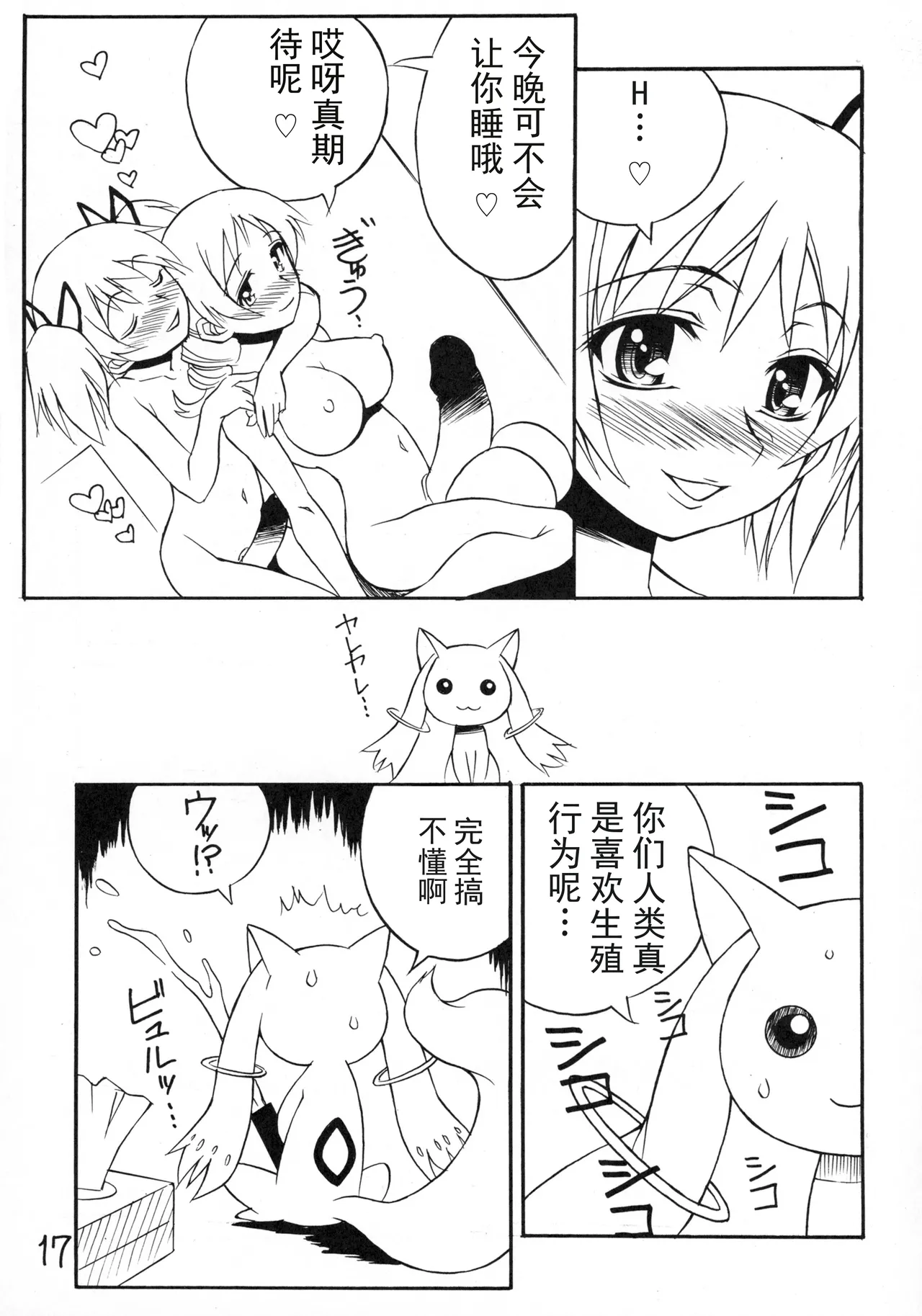 หน้า 17
