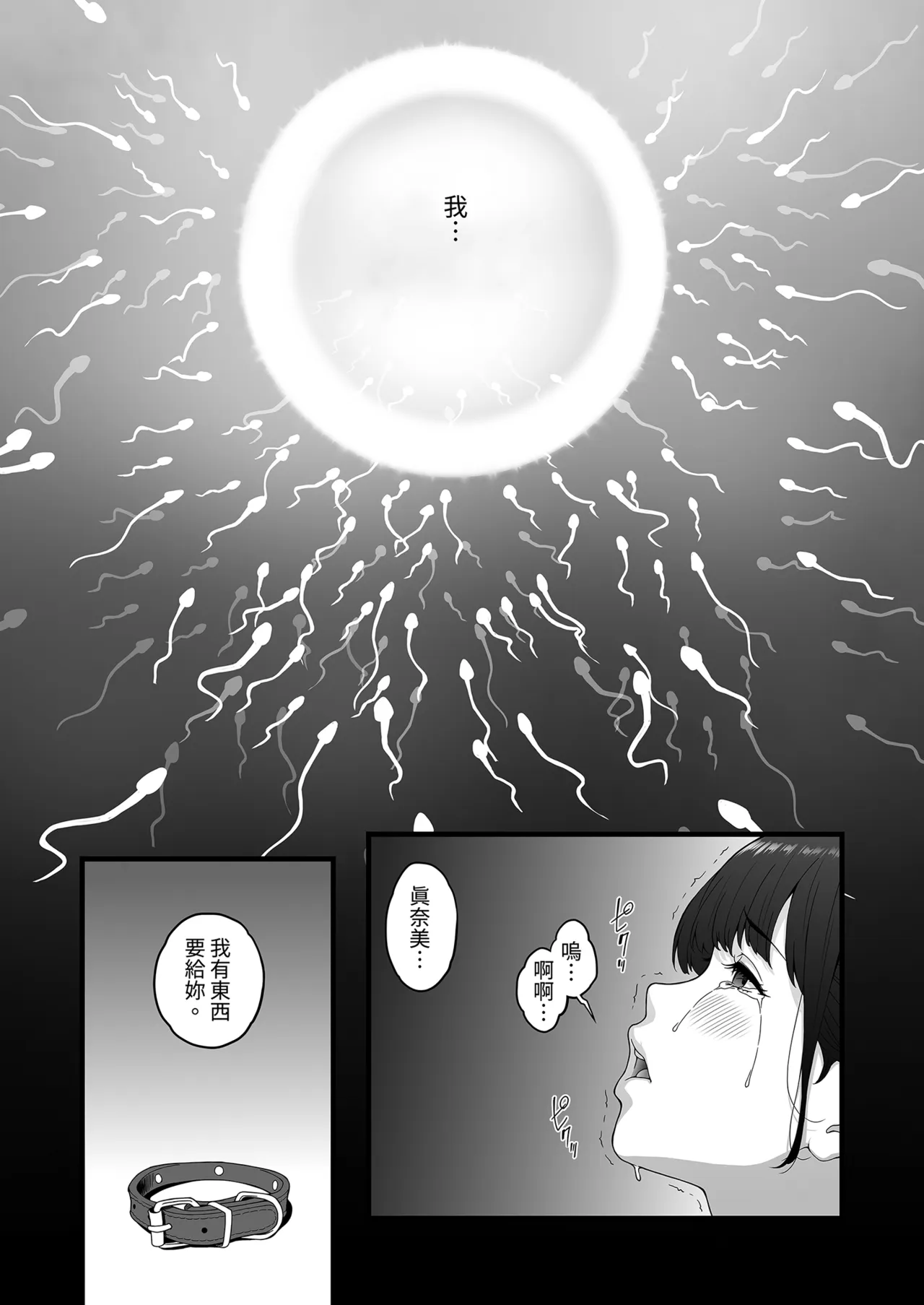 หน้า 41