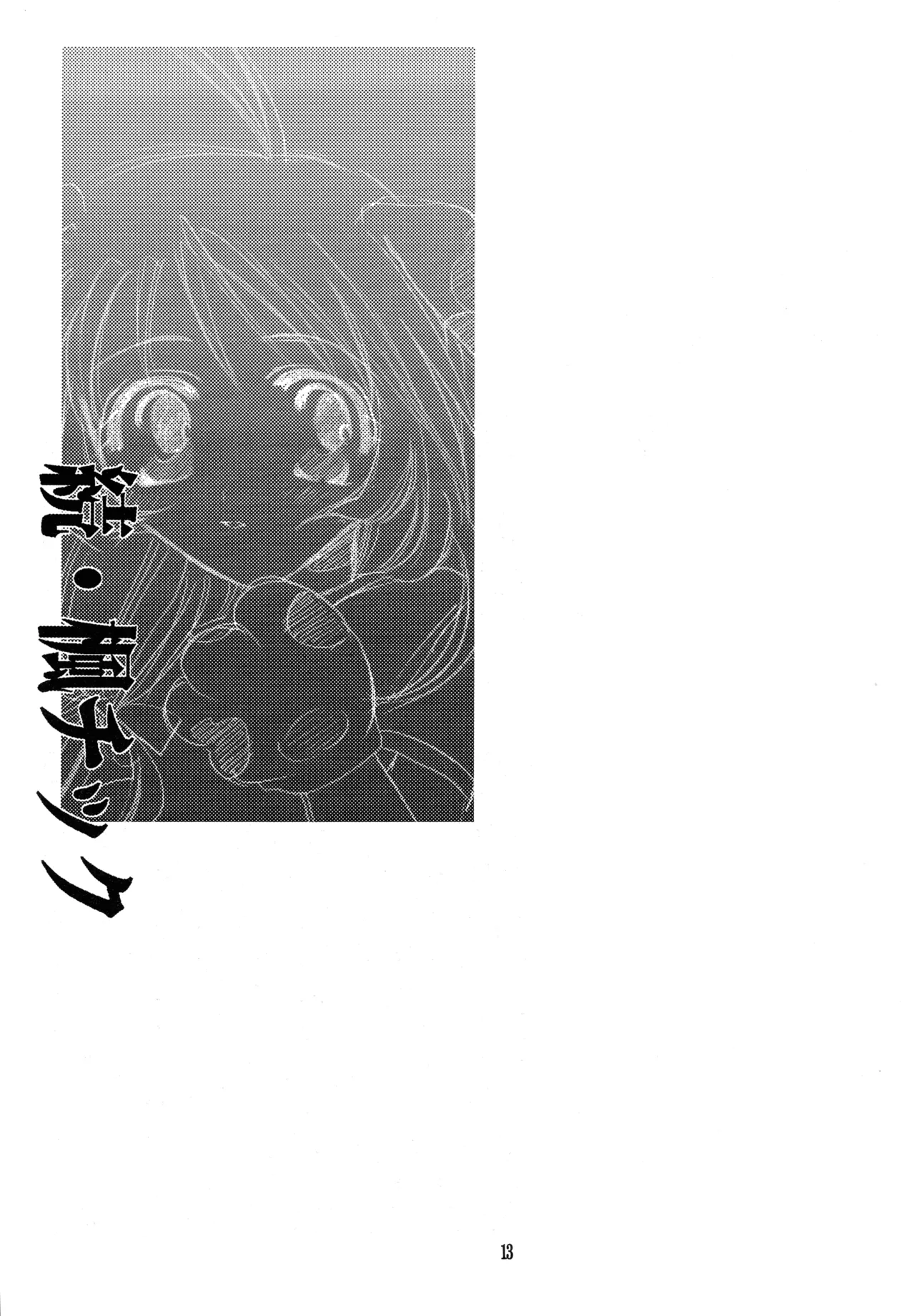 หน้า 13