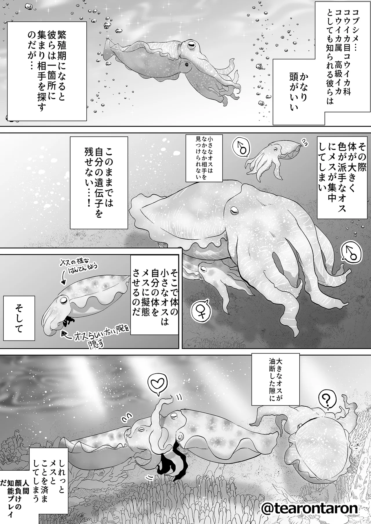 หน้า 29