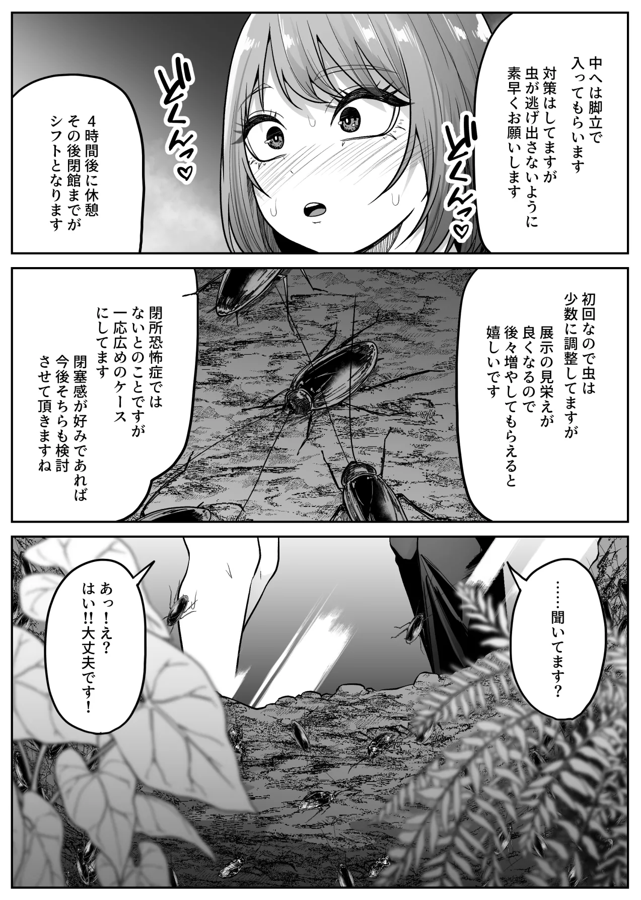หน้า 13