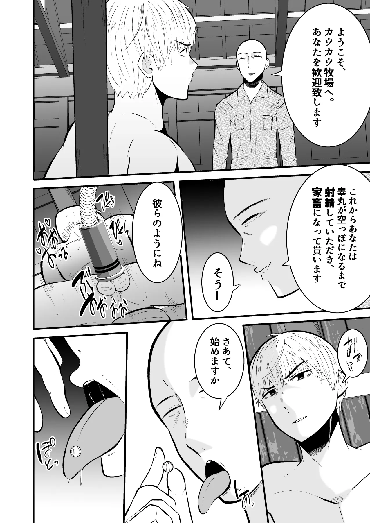 หน้า 11
