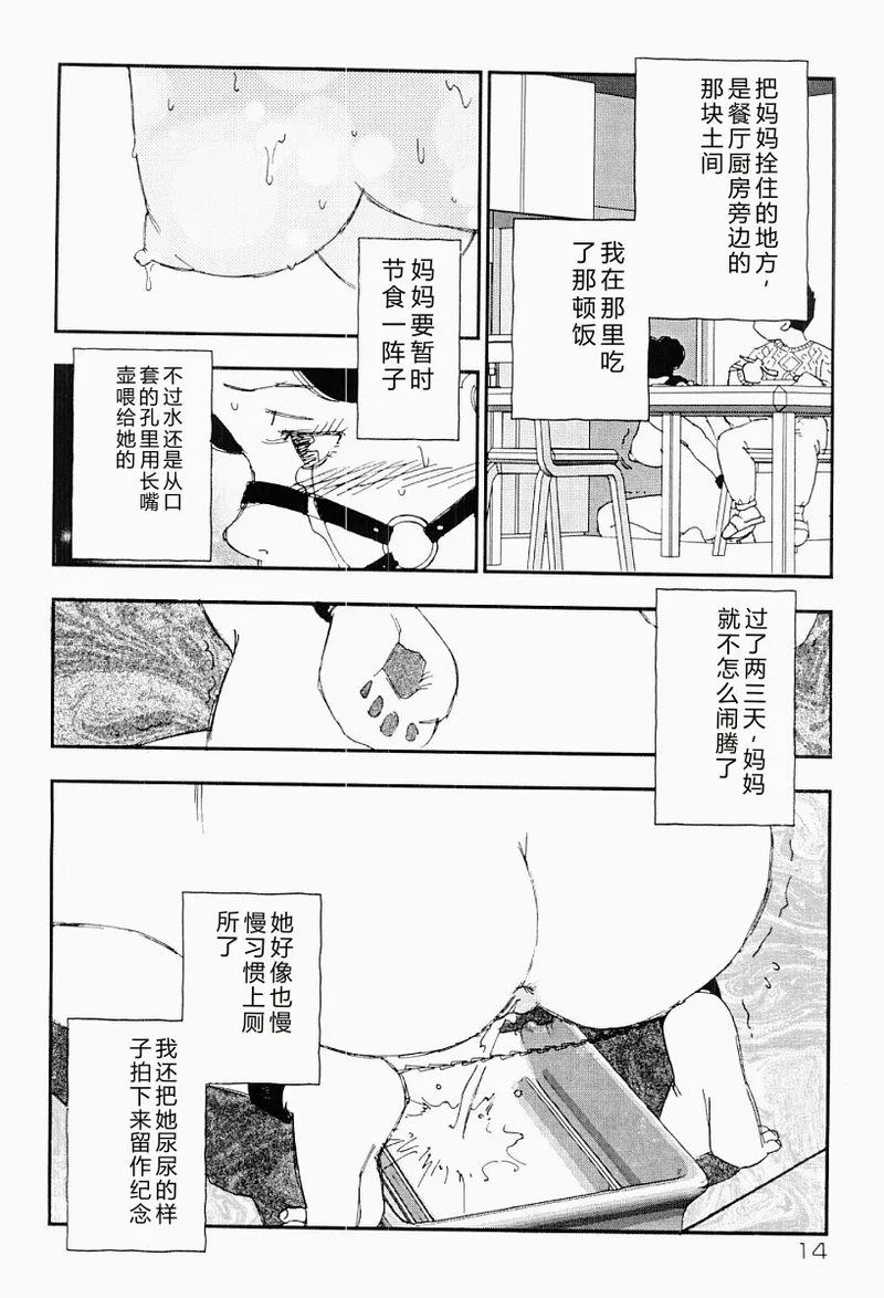 หน้า 13