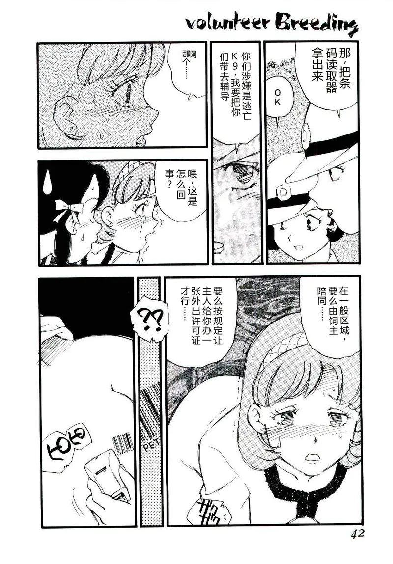หน้า 41