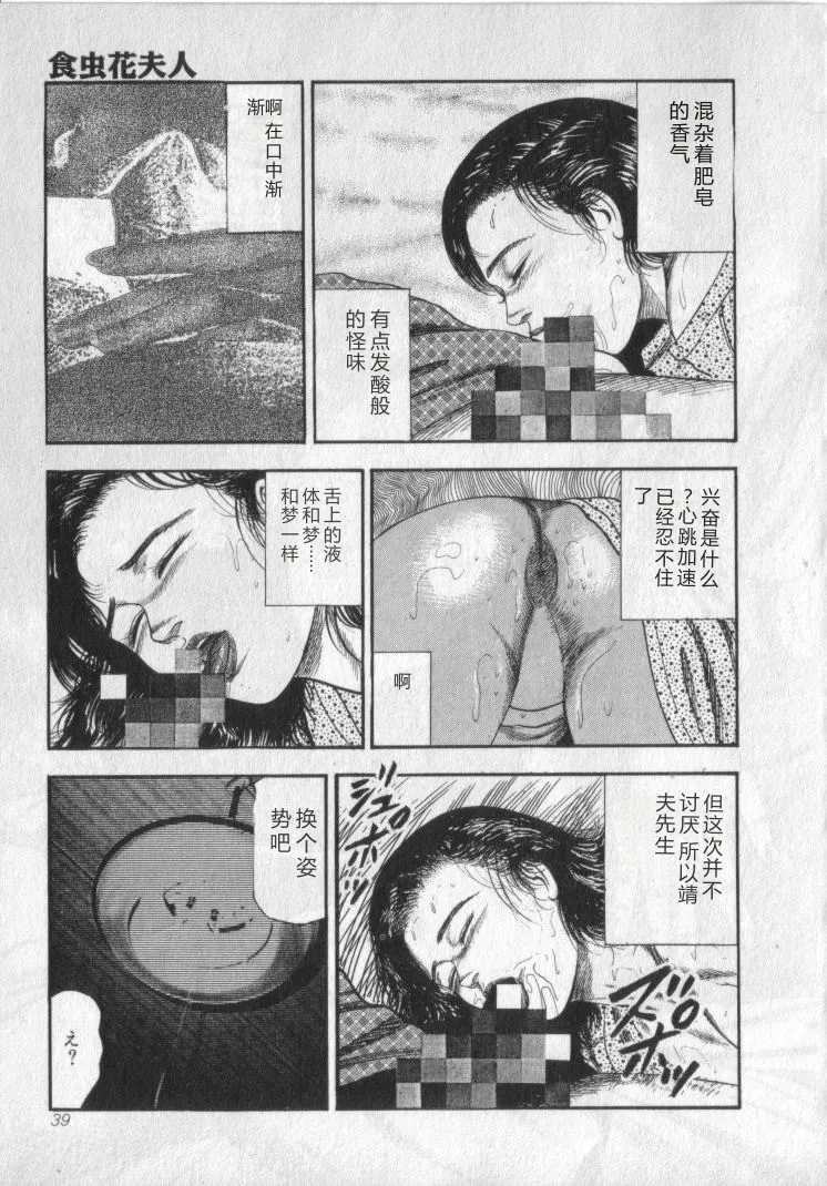 หน้า 41