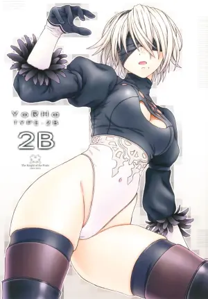 (C92) [The Knight of the Pants (Tsuji Takeshi)] AFFECTUS (NieR:Automata)
