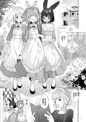 [ANCHOR (Mutou Mato)] Usamimimaid to koibitoH | 兔兔耳朵小女仆和恋人色色 [Chinese] [吗喽汉化组] [Digital]