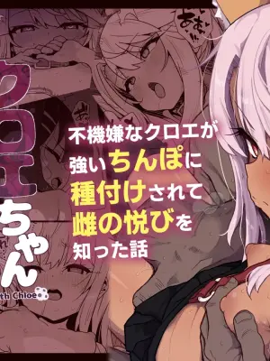 [Eclipse (Rougetu)] Chloe-Chan to no Nichijou -Daily Life with Chloe- (Fate/kaleid liner Prisma Illya) [Digital]