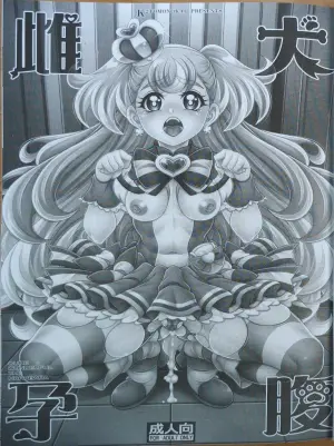 (C104) [K2 Tomo no Kai (Mizuki)] Mesuinu Harabara (Wonderful PreCure!)
