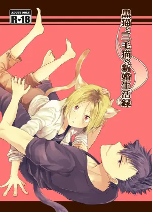 [Nabahaze (Kurosuke)] Kuroneko to Mikeneko no Shinkon Seikatsuroku (Haikyuu!!) [Digital]