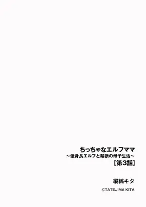 [Tatejima Kita] Chiccha na Elf Mama ~Teishinchou Elf to Kindan no Boshi Seikatsu~ Ch. 3 (Cyberia Plus Vol. 32)